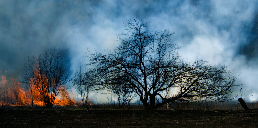 Prairie Burn